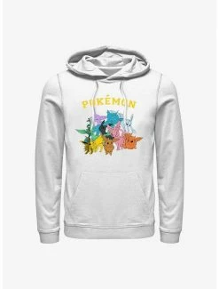 Brand new 🔔 Pokemon Eeveelutions Hoodie 💯